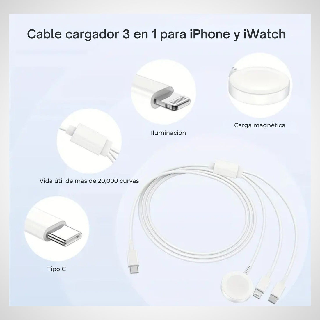 Cargador de pared USB C de 20 W PD con cable de carga rápida de 6 pies